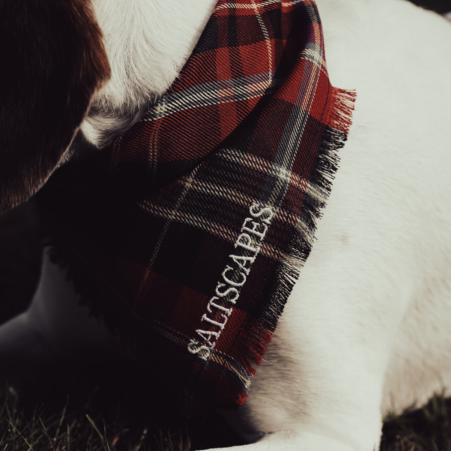 Saltscapes Dog Bandanas