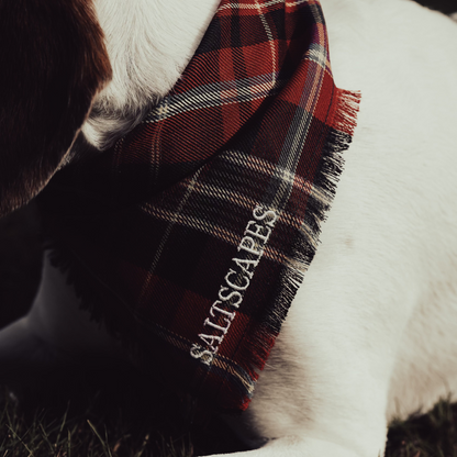 Saltscapes Dog Bandanas