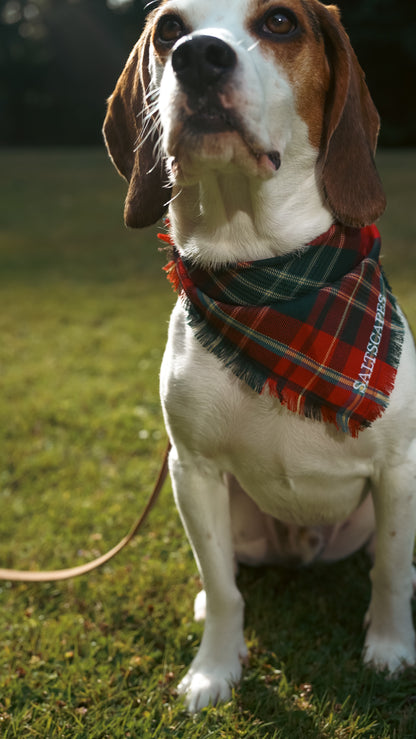 Saltscapes Dog Bandanas