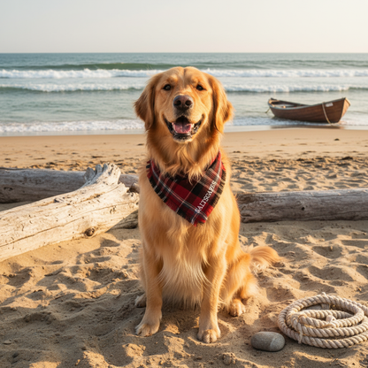 Saltscapes Dog Bandanas in coastal setting