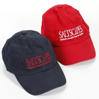 Saltscapes Dad Hats